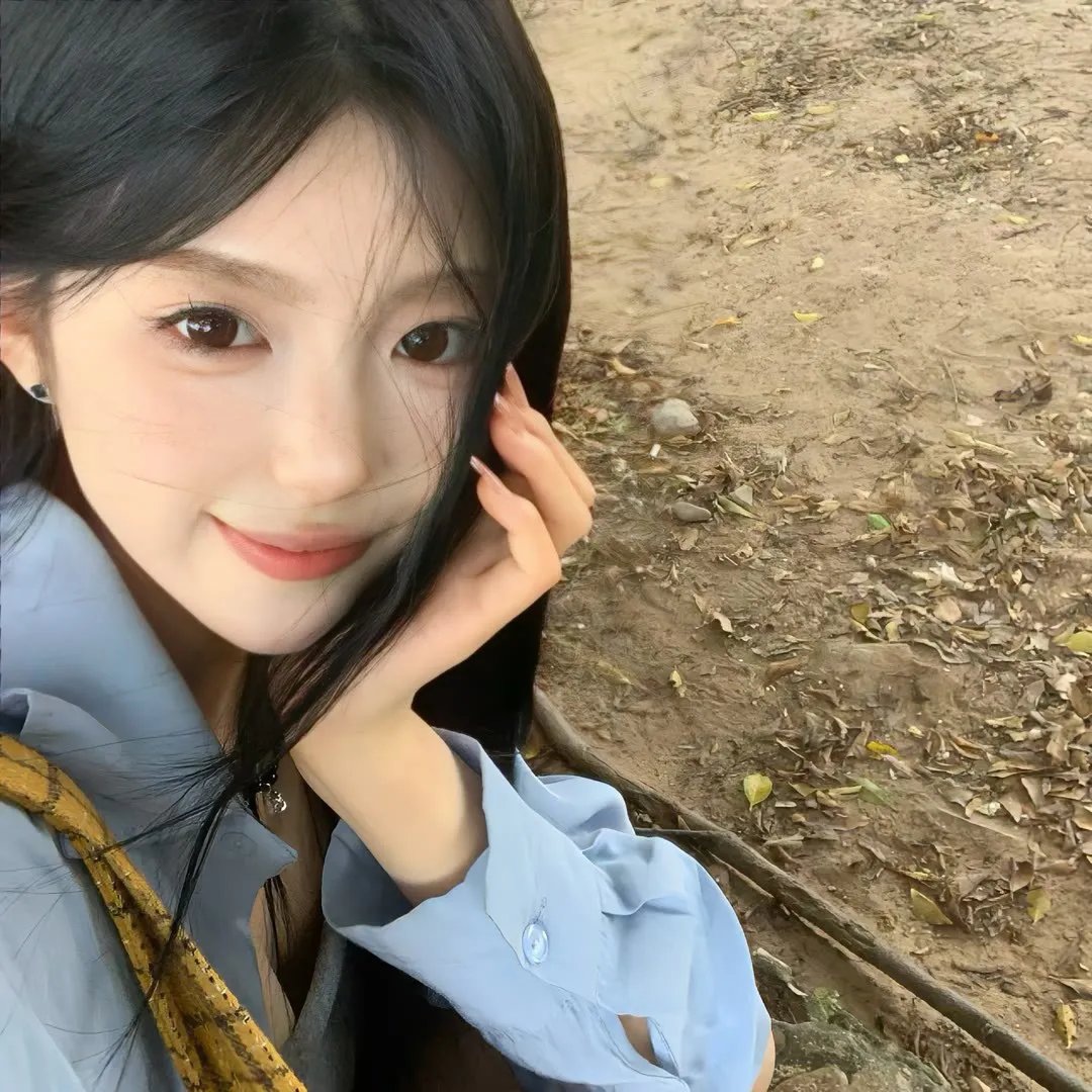 美国派4：美国重逢